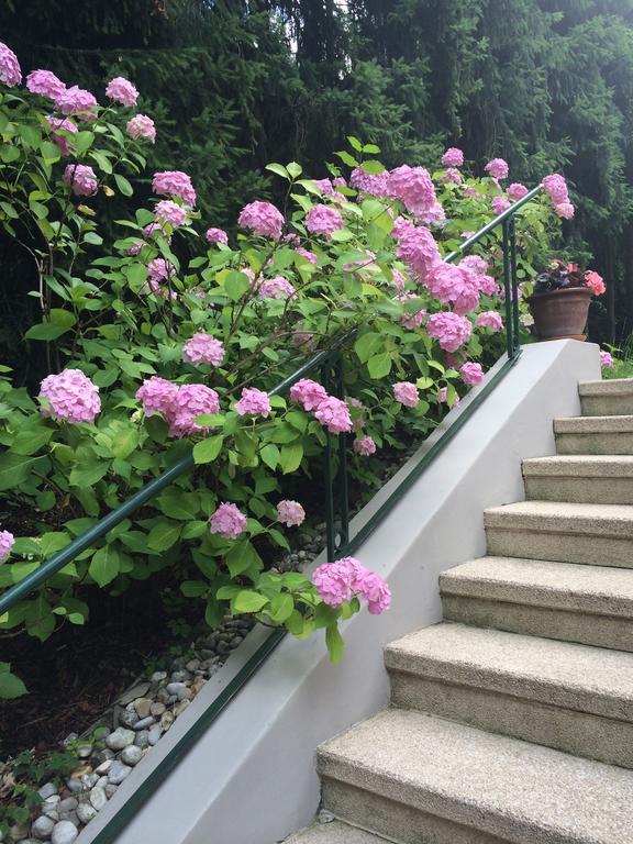 Exquisites Gartenapartment In Eleganter Jugendstilvilla Vienna Esterno foto